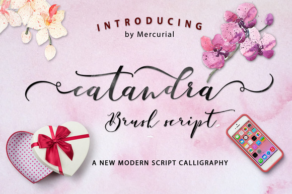 Catandra Script Font for Modern Web Design