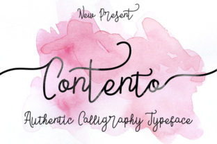 Contento Script Font: Elevating Digital Brand Layouts