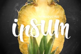 Ipsum Script Font: Elevating Small Business Branding