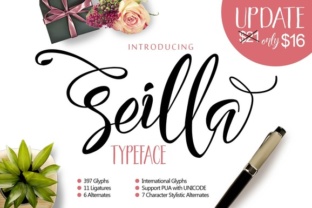 Seilla Script Font: A Modern Typeface for Branding