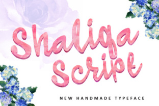 Shaliqa Script Font: A Web Designer’s Layout Review
