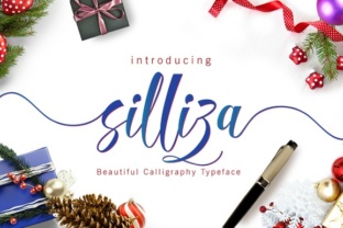 Silliza Script Font: Elevating Campaign Visuals