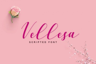 Vellesa Script Font for Elegant Handmade Crafts
