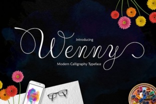 Wenny Script: A Designer’s Practical Review